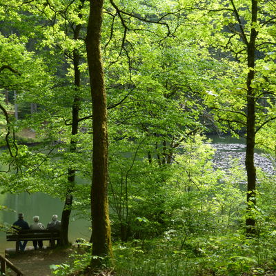 Impressionen Naturpark Sauerland-Rothaargebirge
