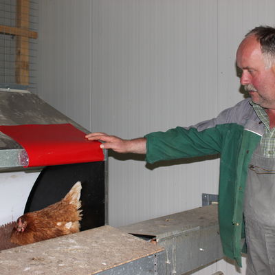 Landwirt Frank Ohrndorf im H�hnerstall des Biohofes.
