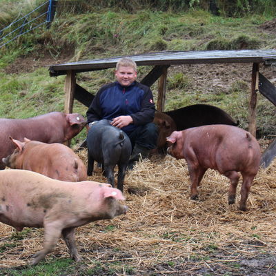 Hofbesitzer Andr� Schneider mit seinen Duroc-Schweinen