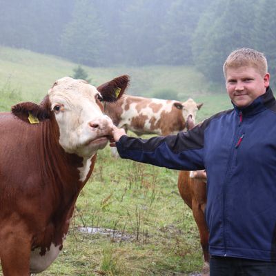 Andr� Schneider mit seinen Rindern auf der Weide in Volkholz