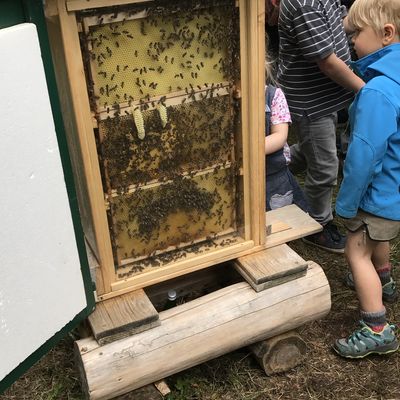 Impressionen vom "Historischen Markt" in und um die Ginsburg