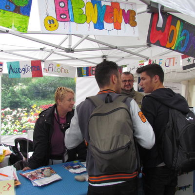 Fragebogen-Aktion KI