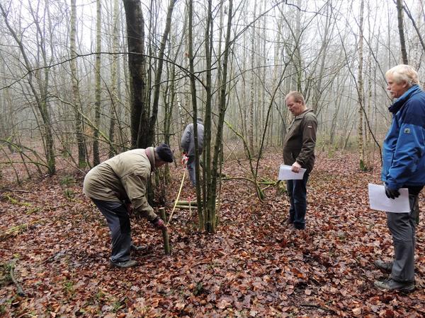 Haubergswirtschaft als immaterielles Kulturerbe: Hauberg teilen