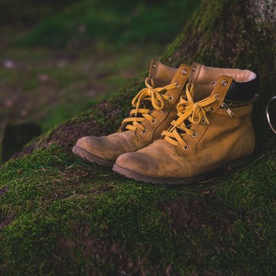 Wandertouren mit der VHS (VHS Programm 2019/I - Kurs 506xx)