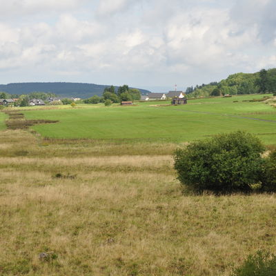 Mosaik M�hwiesen