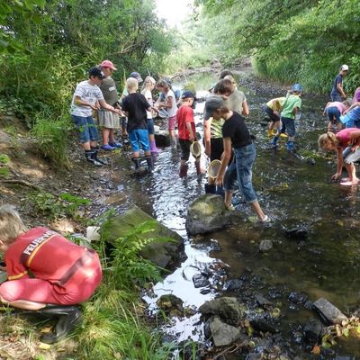 Kinderprogramm: Was versteckt sich in der Ilse?
