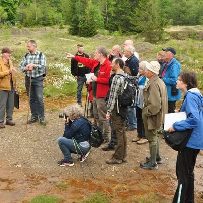 Naturschutgebiet und Flora Fauna Littfeld