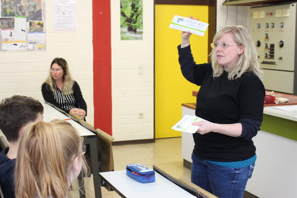 siwi4you in Bad Laasphe