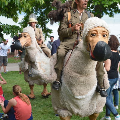 Un�bersehbar und reichlich neugierig: Die Dodos!