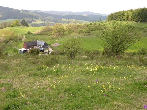 BioStation Neunt�ter