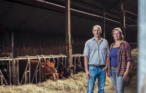 Andrea Zimmermann mit ihrem Mann Thorsten Junge bei den Angus-Rindern.