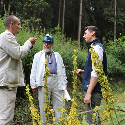 Marc-Oliver Giebeler, Lutz Kessler und Landrat Andreas M�ller beim Gespr�ch in einer renaturierten Pinge im Niederndorfer Giebelwald.