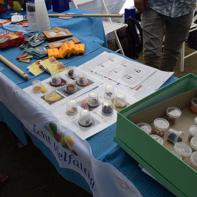 Kerne-Ratespiel am KI Infostand Freundschaftsfest 29.06.2019