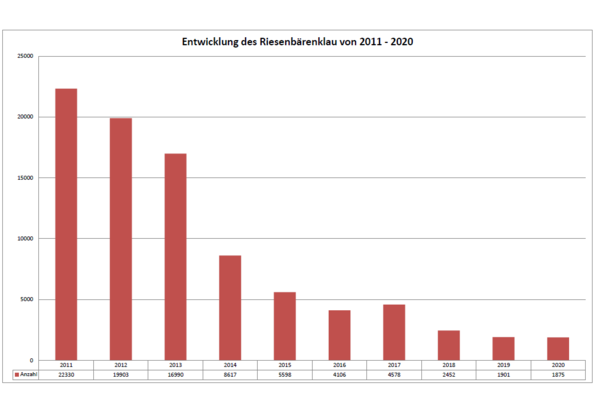 Statistik Riesen-B�renklau
