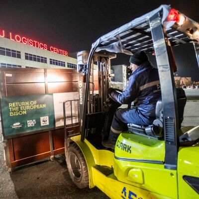 02 Wisenttransport in den Kaukasus