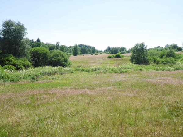 202605Ginsberger_Heide_Foto_Sabine_Portig-1140197