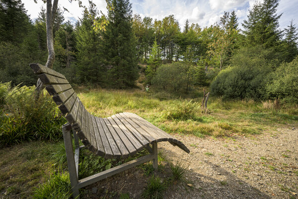 Ein Aussichtspunkt mit Bank im Rothaarsteig-Design im Ilsetal bei Heiligenborn.Ein Aussichtspunkt im Ilsetal bei Heiligenborn.