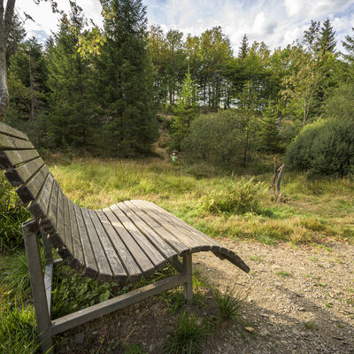 Ein Aussichtspunkt mit Bank im Rothaarsteig-Design im Ilsetal bei Heiligenborn.Ein Aussichtspunkt im Ilsetal bei Heiligenborn.