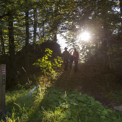 Der Rothaarsteig ist einer der bekanntesten Fernwanderwege Deutschlands. Er geh�rt zu den "Top Trails of Germany". J�hrlich sind rund 1,7 Millionen Wanderer auf der 154 km langen Wanderroute zwischen Brilon und Dilleburg unterwegs.