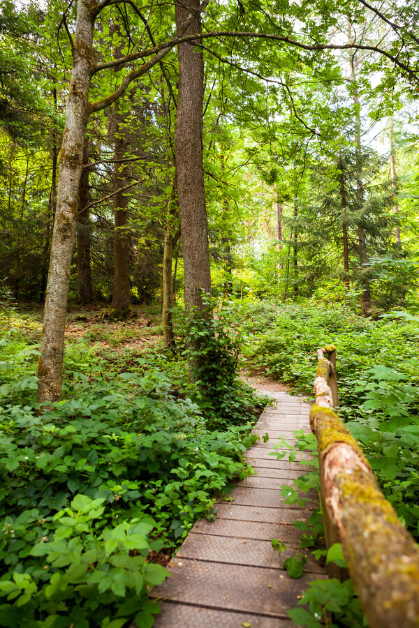 Naturerlebnispfad an der Siegquelle.