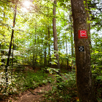 Der Premiumwanderweg Rothaarsteig, der "Weg der Sinne", f�hrt direkt an der Siegquelle vorbei.