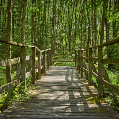 Holzbr�cke nahe der Ederquelle am Rothaarsteig unweit der historischen Eisenstrasse.
