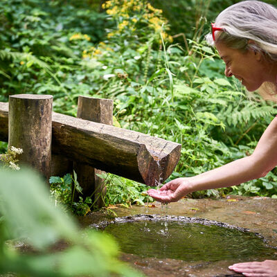 Die Siegquelle ist ein Quellgebiet. Das Wasser wird in einer Holzrinne gesammelt und flie�t in eine Steintrog. Von hier schl�ngelt sich der Flu�. der dem Siegerland seinen Namen gegeben hat, talabw�rts durch drei Kreise und zwei Bundesl�nder bis zum Rhein.