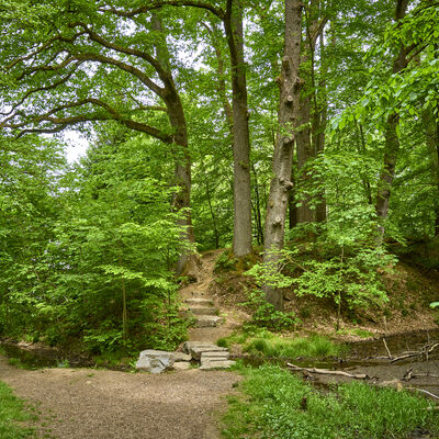Direkt an der Wasserburg Hainchen befindet sich ein Park mit vielen Spielger�ten im Wald.