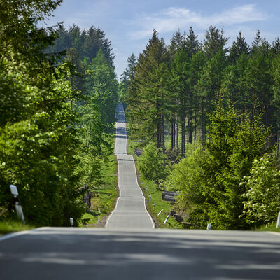 Die Eisenstrasse, auch Kohlenstrasse genannt, ist eine alte Handelsstrasse auf dem Rothaarkamm. Sie verl�uft zwischen Netphen-Hainchen und Hilchenbach L�tzel.