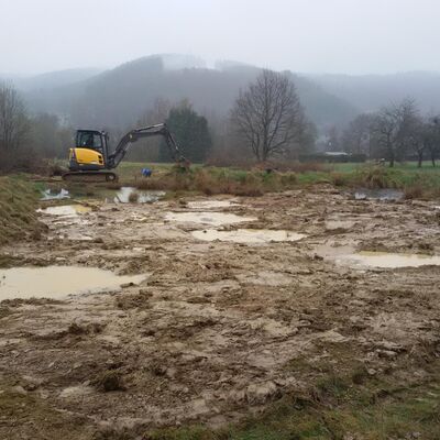 Ma�nahme: Anlage Biotopgew�sser f�r Amphibien
