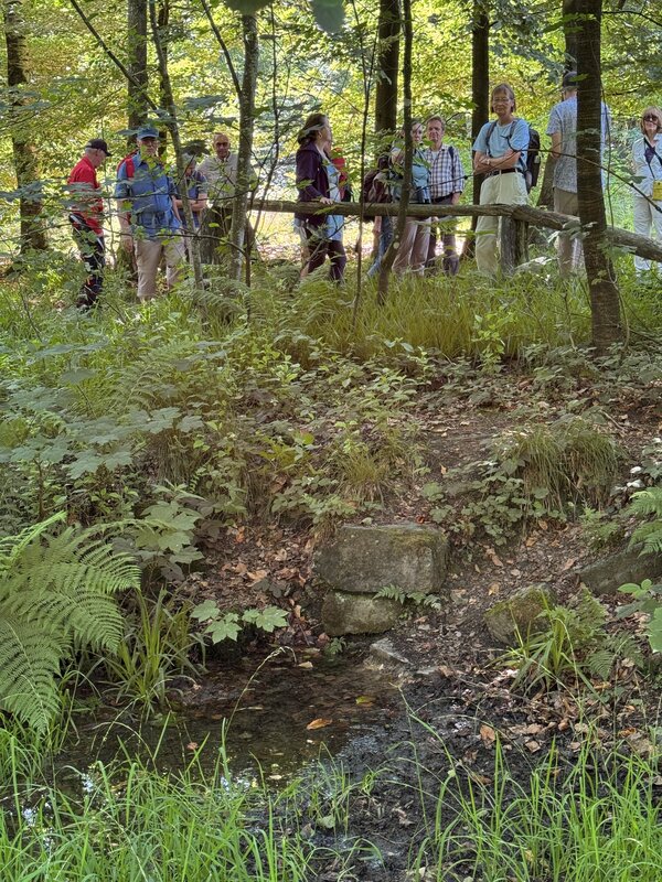 Fast f�nf (!) Stunden war eine Gruppe unter sachkundiger F�hrung von Prof. Dr. Jasmin Mantilla-Contreras, Leiterin der Biologischen Station, auf dem Rothaarkamm unterwegs, um Landschaften, Tiere, Pflanzen auf dem Rothaarkamm zwischen Hainchen und L�tzel kennenzulernen. Hier ist die Gruppe an der Ederquelle.