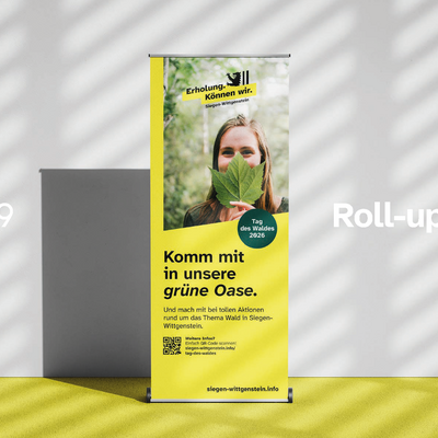 Beispiele neues CD: Roll-Ups